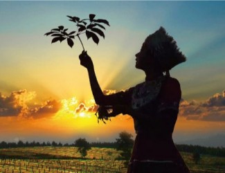 吃三七要在什么年齡，又有什么好處？?