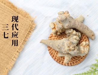 三七的功效作用在現(xiàn)代臨床中的應(yīng)用，揭秘醫(yī)生如何用三七治病